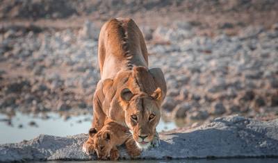 Namibia Explorer (Accommodated) - 10 Days — 4