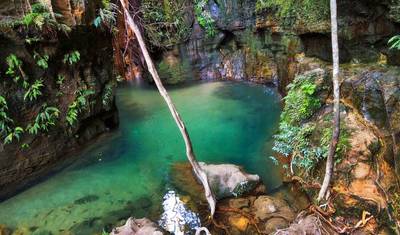 Aventura em Madagascar — 5