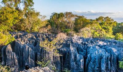Madagascar em Profundidade — 2