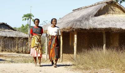 Madagascar em Profundidade — 5
