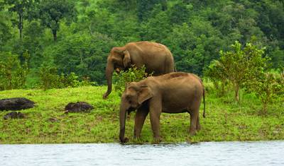 Incrível Kerala — 5