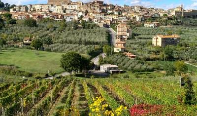 Um Sabor da Toscana: Caminhada Autoguiada — 2