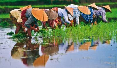 Nice to Packages Vietnam and Cambodia 9days/8nights — 5