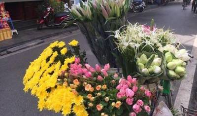 12 Days Ultimate Vietnam From Hanoi To Central and South — 2