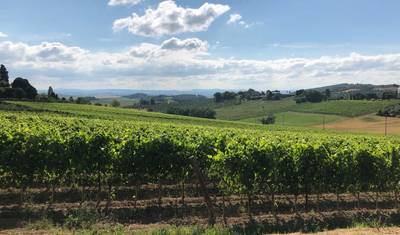 Vinhedos e trufas do Piemonte - Passeio de bicicleta em grupo pequeno — 2