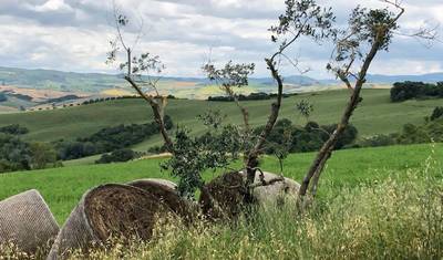 Vinhedos e trufas do Piemonte - Passeio de bicicleta em grupo pequeno — 3