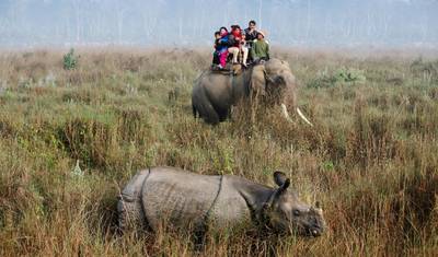 Catmandu e Vida Selvagem de Chitwan — 3
