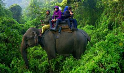 Catmandu e Vida Selvagem de Chitwan — 4