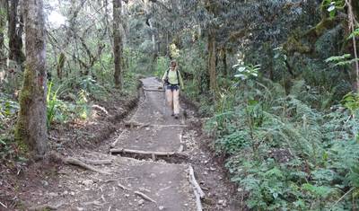 Machame Kilimanjaro 6 days trek — 4