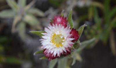 Wspinaczka na Kilimandżaro Szlakiem Machame 7 Dni 6 Nocy — 5