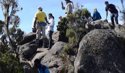 Wspinaczka na Kilimandżaro Szlakiem Machame 7 Dni 6 Nocy — 5
