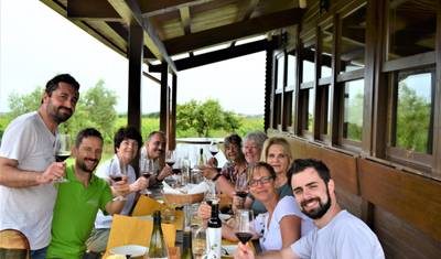 Experiência Cultural, Culinária e de Colheita de Azeitonas em Abruzzo — 3