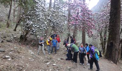 Ideal Langtang Valley Trekking — 5
