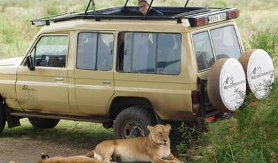 4 dni 3 noce Tarangire, Serengeti i Ngorongoro Lodge Safari — 5