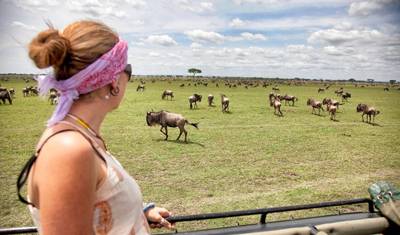 Safari de 4 Dias e 3 Noites em Tarangire, Serengeti e Ngorongoro (Lodge) — 5