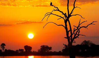 Safari de 3 Dias e 2 Noites no Nyerere National Park com Alojamento em Lodge — 3