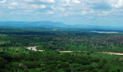 Safari de 3 Dias e 2 Noites no Nyerere National Park com Alojamento em Lodge — 4