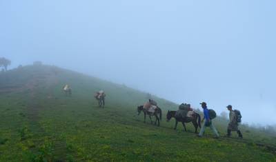 Trekking Dookoła Jomolhari — 5