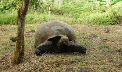 5-dniowa ekspedycja po Galapagos — 5