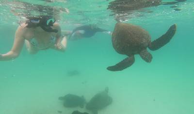 8 Dias Multiesportivo em Galápagos — 5