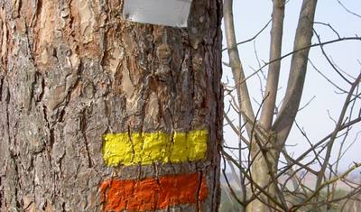 Wiedeń do Pragi — 3