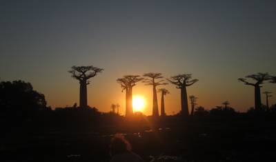Odkrywanie i splendor Madagaskaru — 4