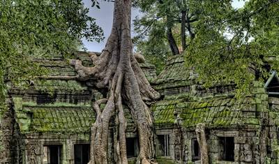 Southeast Asia: Northern Hilltribe Trekking & Beach Vibes — 4
