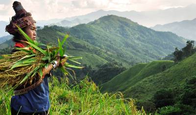 Cycle Luang Prabang to Hanoi - 12 Days — 4