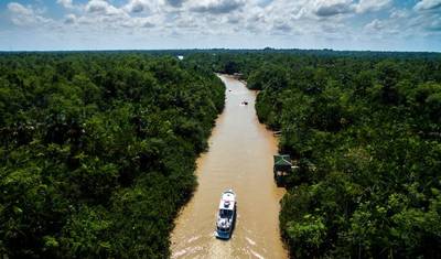 Amazônia Brasileira de Barco — 3