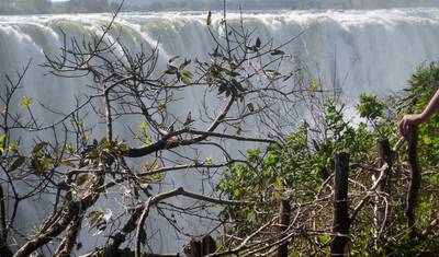 Cataratas Vitória e Chobe — 5