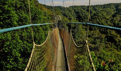 8 Dias: Nyungwe, Lago Kivu e Gorilas em Ruanda — 4