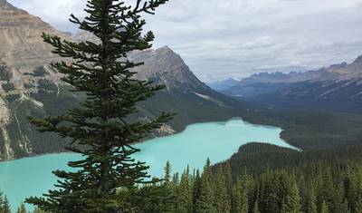Canadian Rockies Express — 4