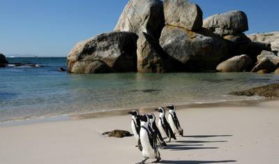 Cidade do Cabo, Kruger e Rota Jardim, Viagem de Carro — 4