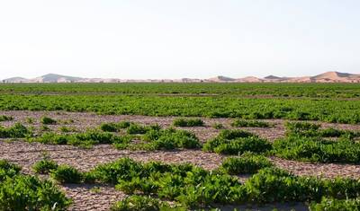 3-Day Marrakech to Erg Chigaga Desert Tour with Kasbahs — 3
