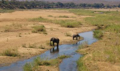 4-dniowe safari Big 5 w Parku Narodowym Krugera i trasa Panorama Route — 5