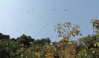 5 Days Discover Rwanda & Gorilla Trekking Adventure — 2