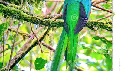 Paisagens Exóticas da Costa Rica — 3