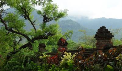 Wellness Bali — 5