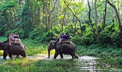 Excursão de 7 Dias ao Parque Nacional de Chitwan, Nepal — 4
