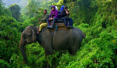 Excursão de 7 Dias ao Parque Nacional de Chitwan, Nepal — 2