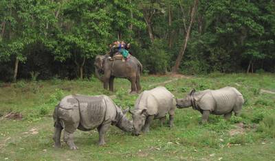 Excursão de 7 Dias ao Parque Nacional de Chitwan, Nepal — 3