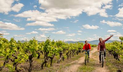 Vinhos do Chile e Argentina (para amantes da gastronomia!) — 4
