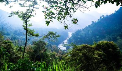 O Verde Vibrante do Sri Lanka, Tour Privado — 4