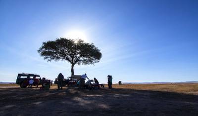 Pelo Vale do Rift, Zebra Plains - Tour Privado — 2