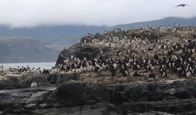 4-dniowa wycieczka po Ushuaia — 2