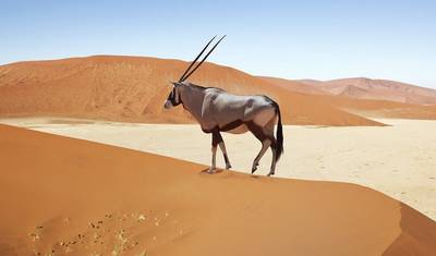 تخييم 4 أيام في سوسوسفلي وسواكوبموند — 2