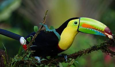 3 Vulcões e Praia de Guanacaste Tudo Incluído 9 dias — 3