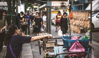 أراضٍ من الابتسامة في تايلاند وفيتنام خلال 16 يومًا — 4