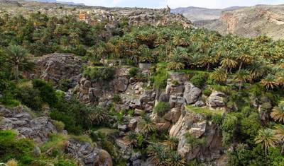 Tour Dina | 5 Days Package — 5