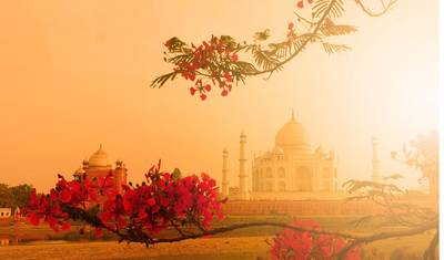 6-dniowa wycieczka po Złotym Trójkącie z Udaipurem - Wycieczka Delhi Agra Jaipur Udaipur — 5